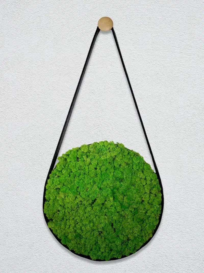 Hangende cirkelvormige groene mosdecoratie aan de muur