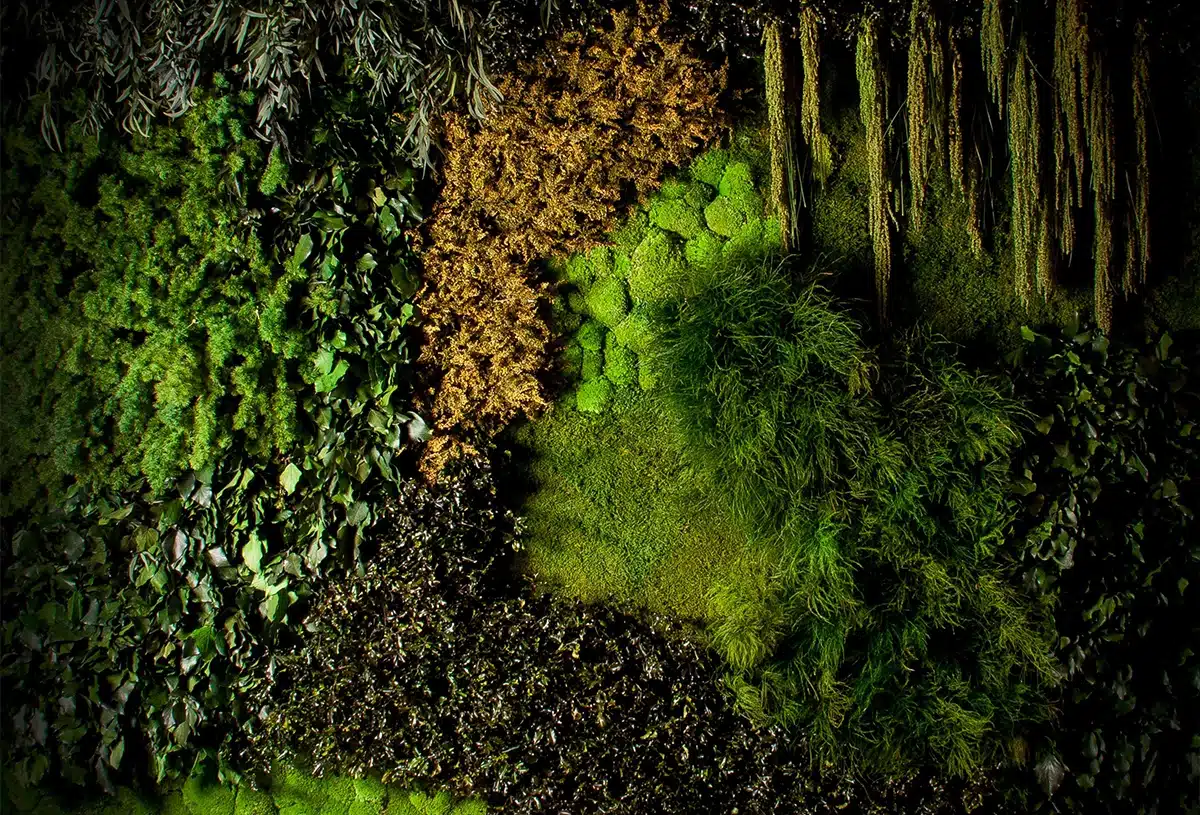 Groen_bos-00