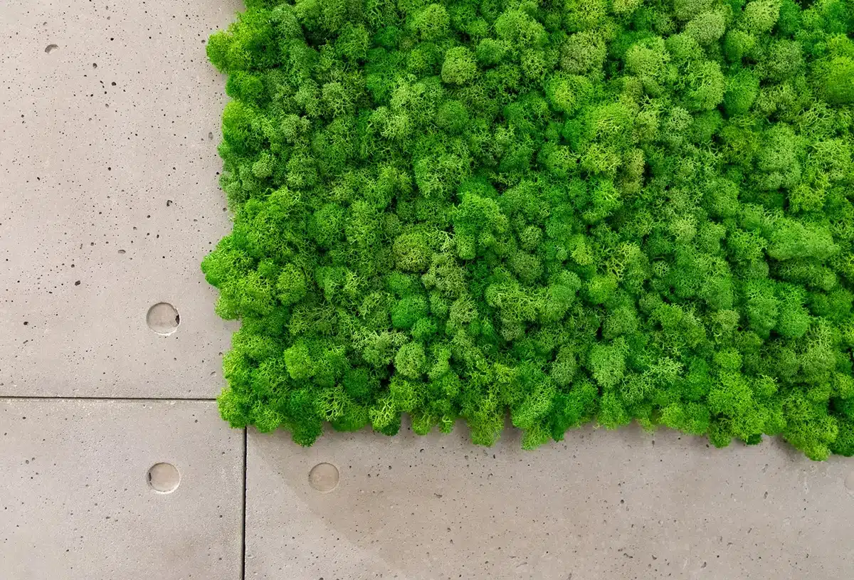Greenmood_lichen-wand-02