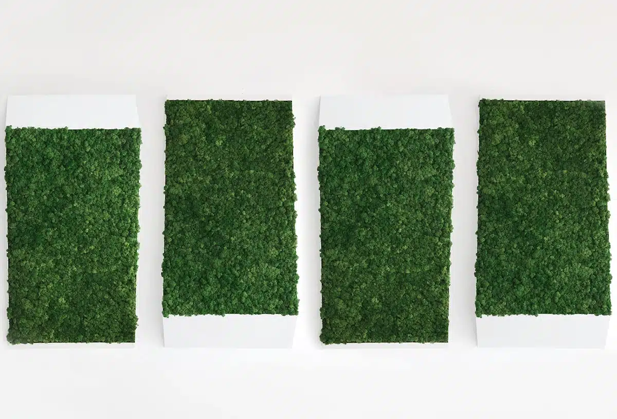 Vier groene verticale mospanelen op witte achtergrond.