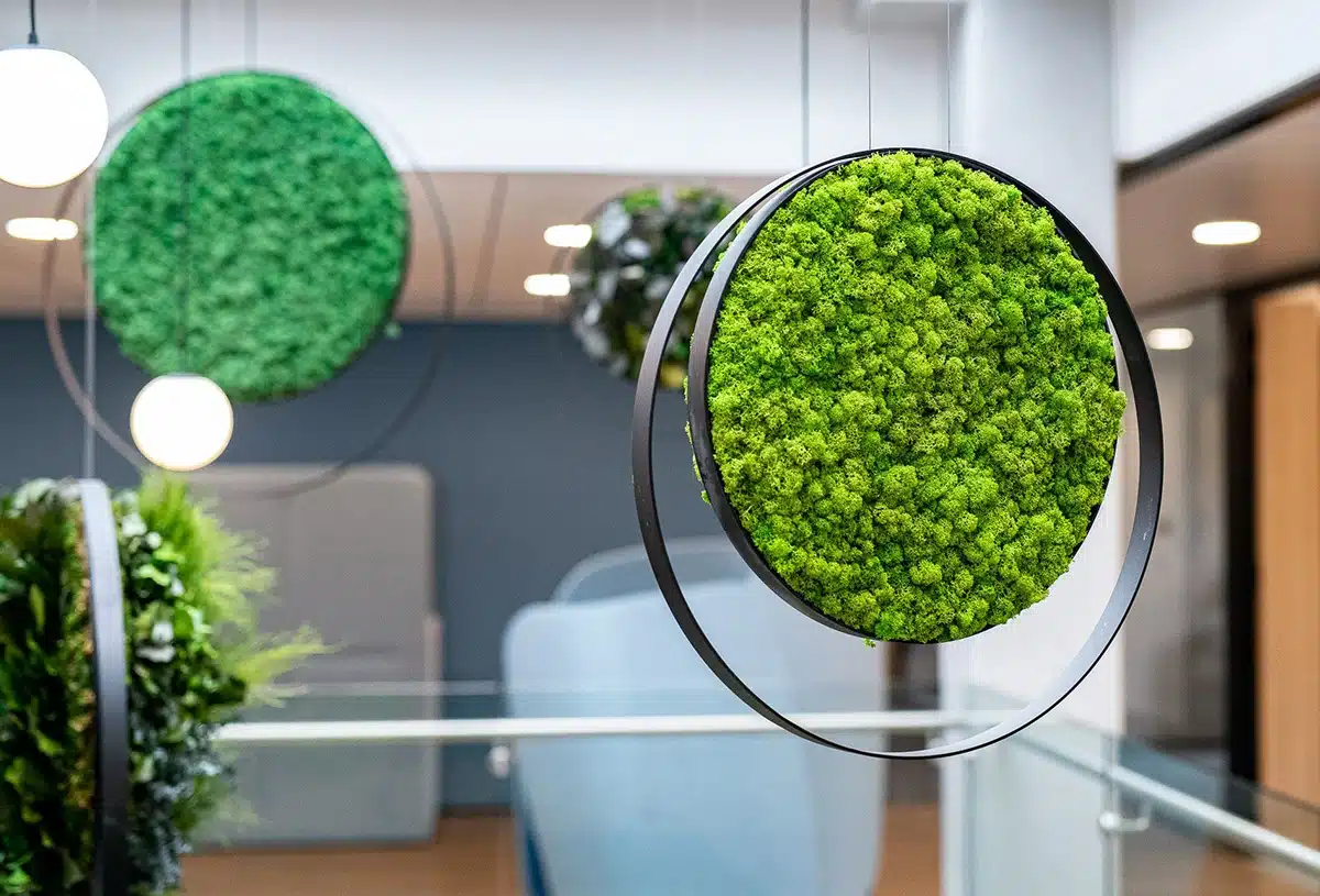 Moderne kantoorinrichting met hangende groene planten