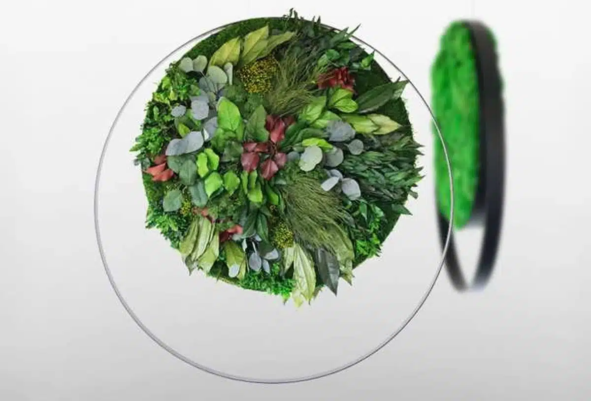Ronde verticale tuin met weelderig groen gebladerte