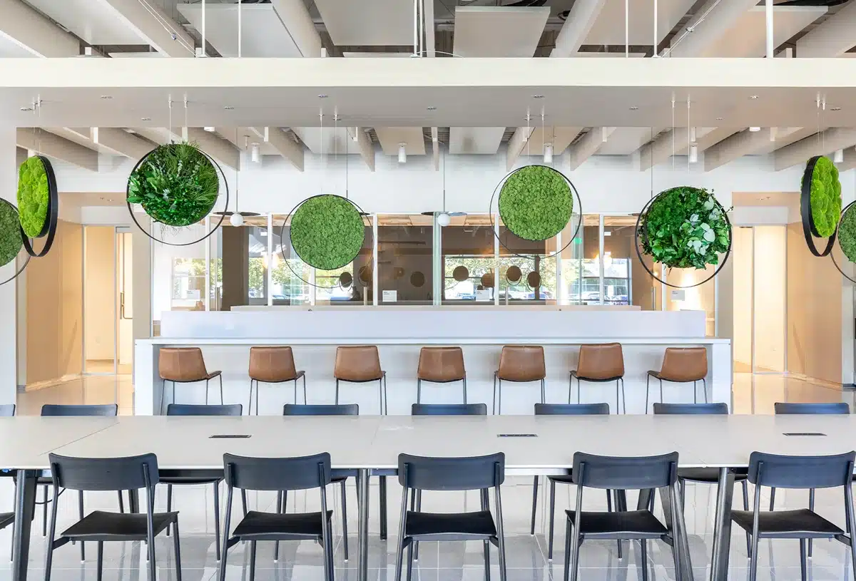Modern kantoorinterieur met groen cirkelvormig decor.
