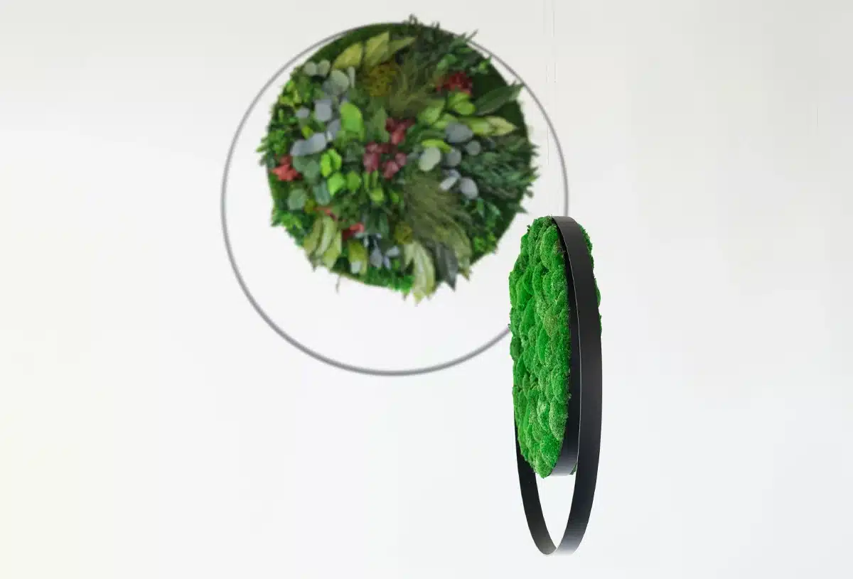 Groen cirkelvormig planten muurdecor