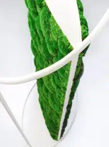 Groene verticale plantenwand met modern ontwerp.
