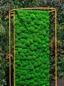 Weelderige groene mosmuur met gouden frame.