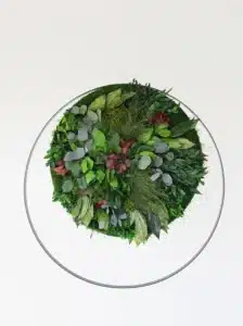 Circulaire groene gebladerte muurkunstinstallatie