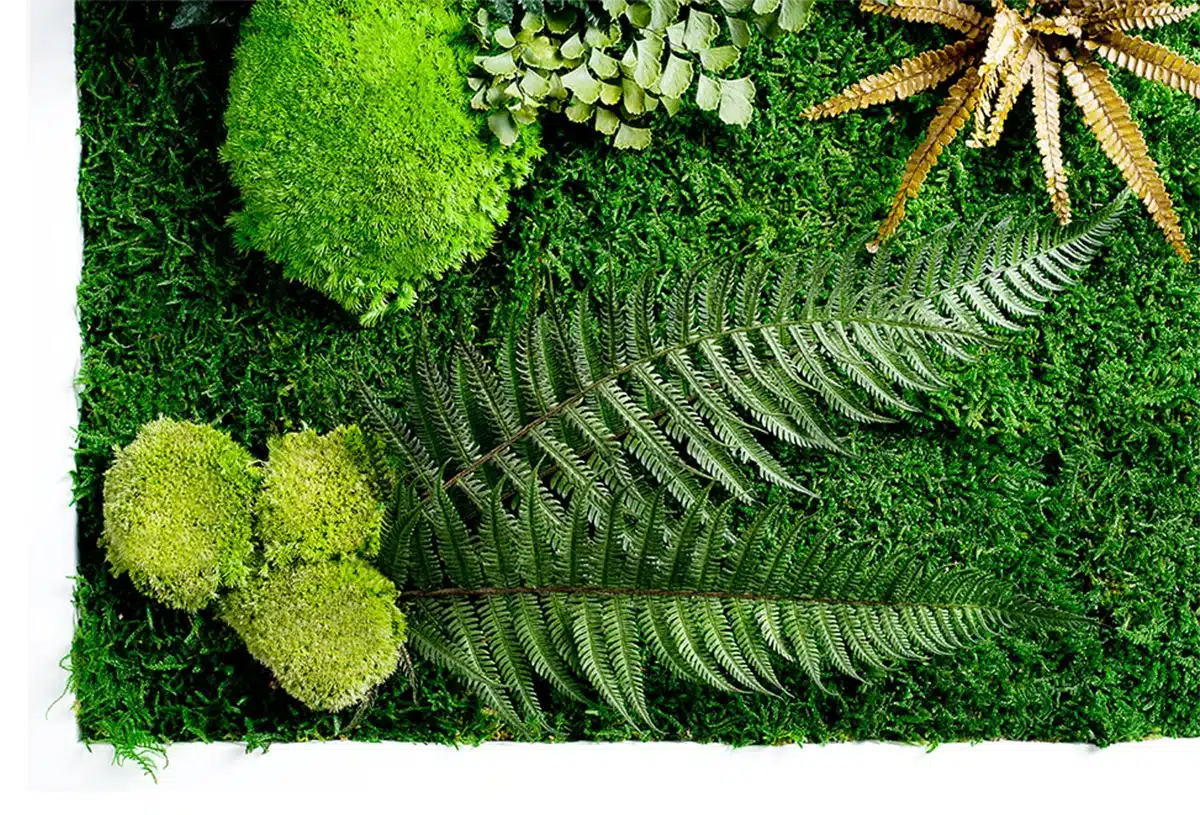 Greenmood_forest-01