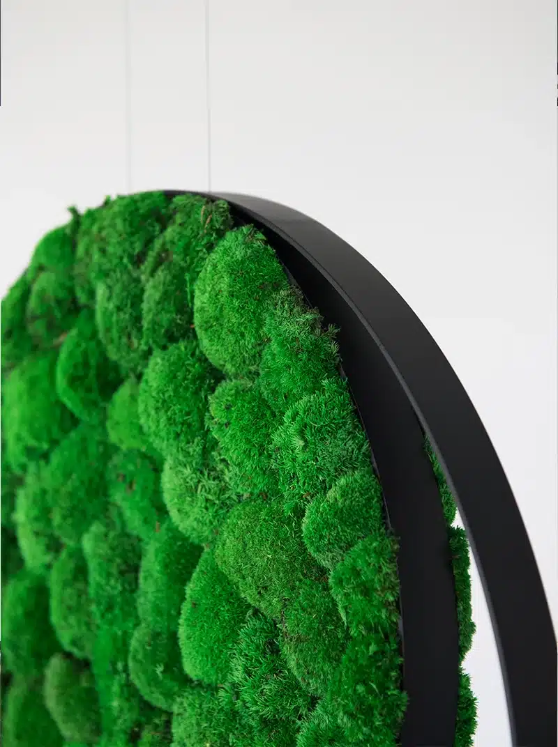 Close-up of green moss wall art
