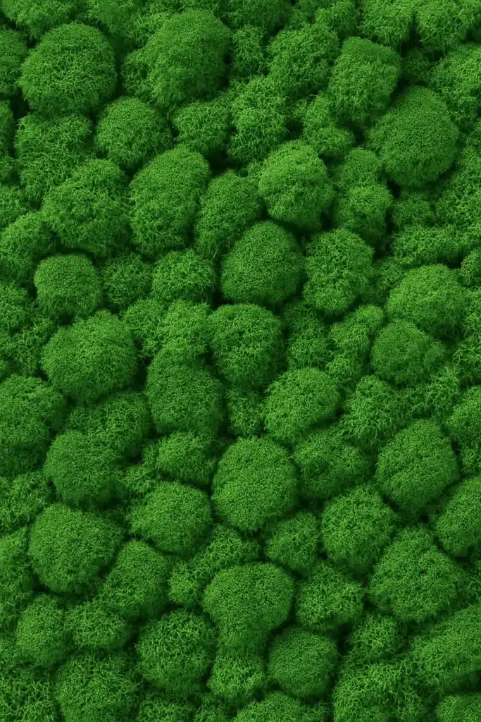 green wall, accoustic wall