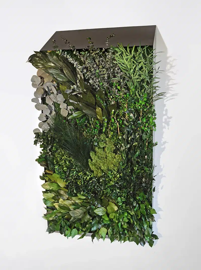 Vertical garden with lush green foliage