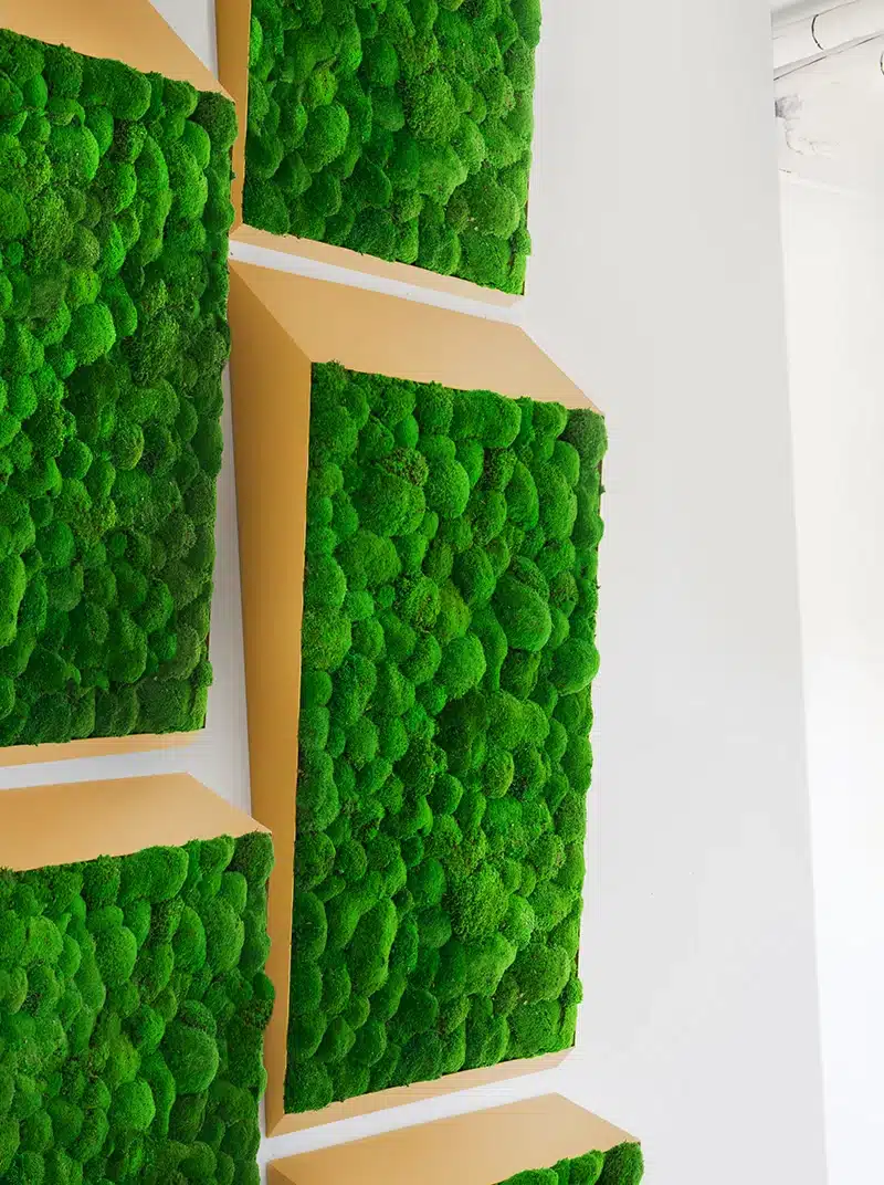 Vertical green moss art on angular surfaces.