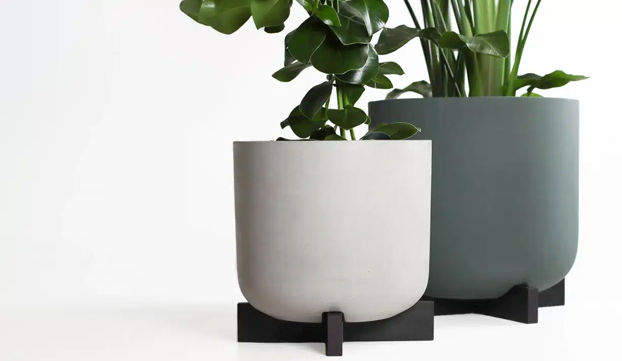 Greenmood_product_Cruz-03