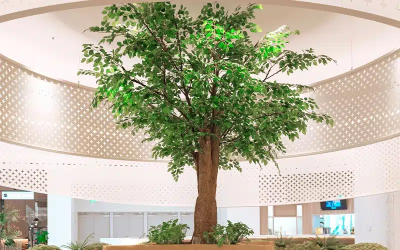 Indoor tree in a modern atrium space