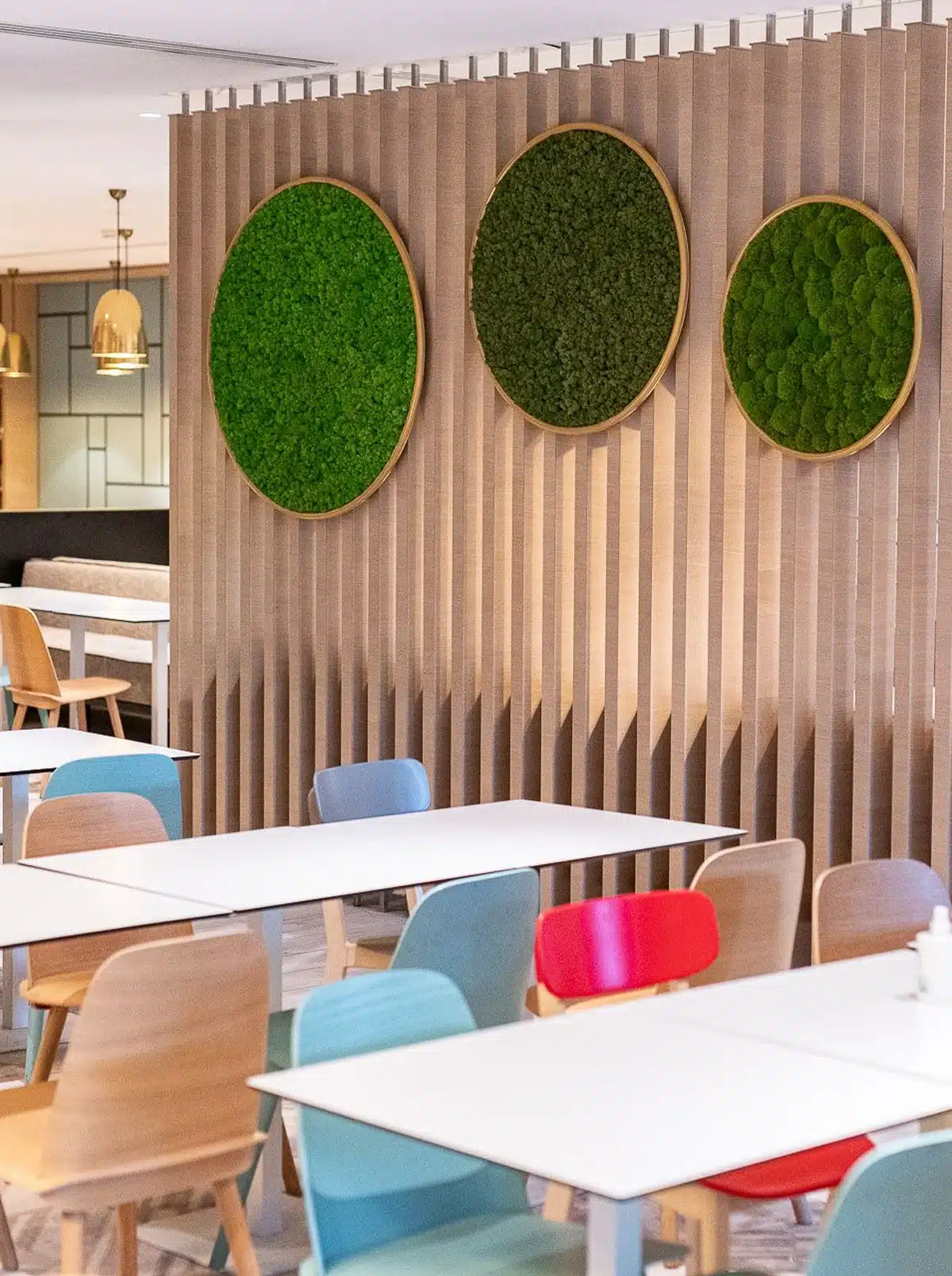 greenmood g circles gallery 12.webp