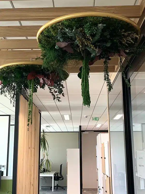 greenmood gallery g circles 09.webp