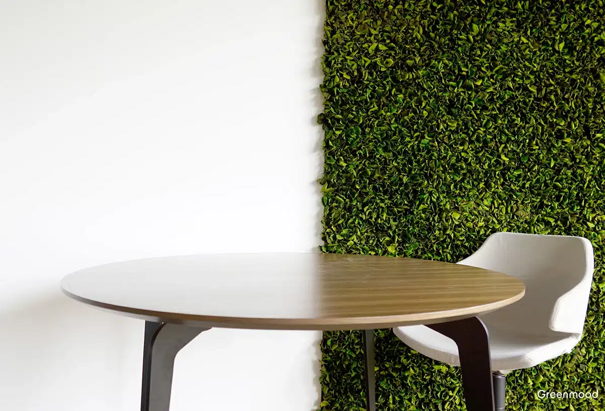 Greenmood_Velvet-Leaf-Produkt-02