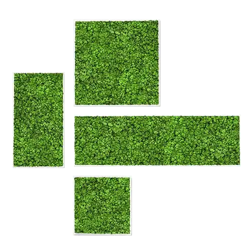Väggpaneler av grön mossa i geometriska former.