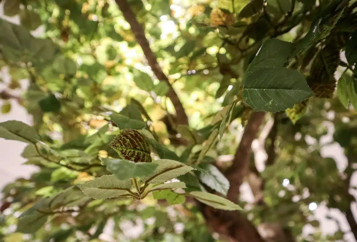 Greenmood_produkt_träd-04
