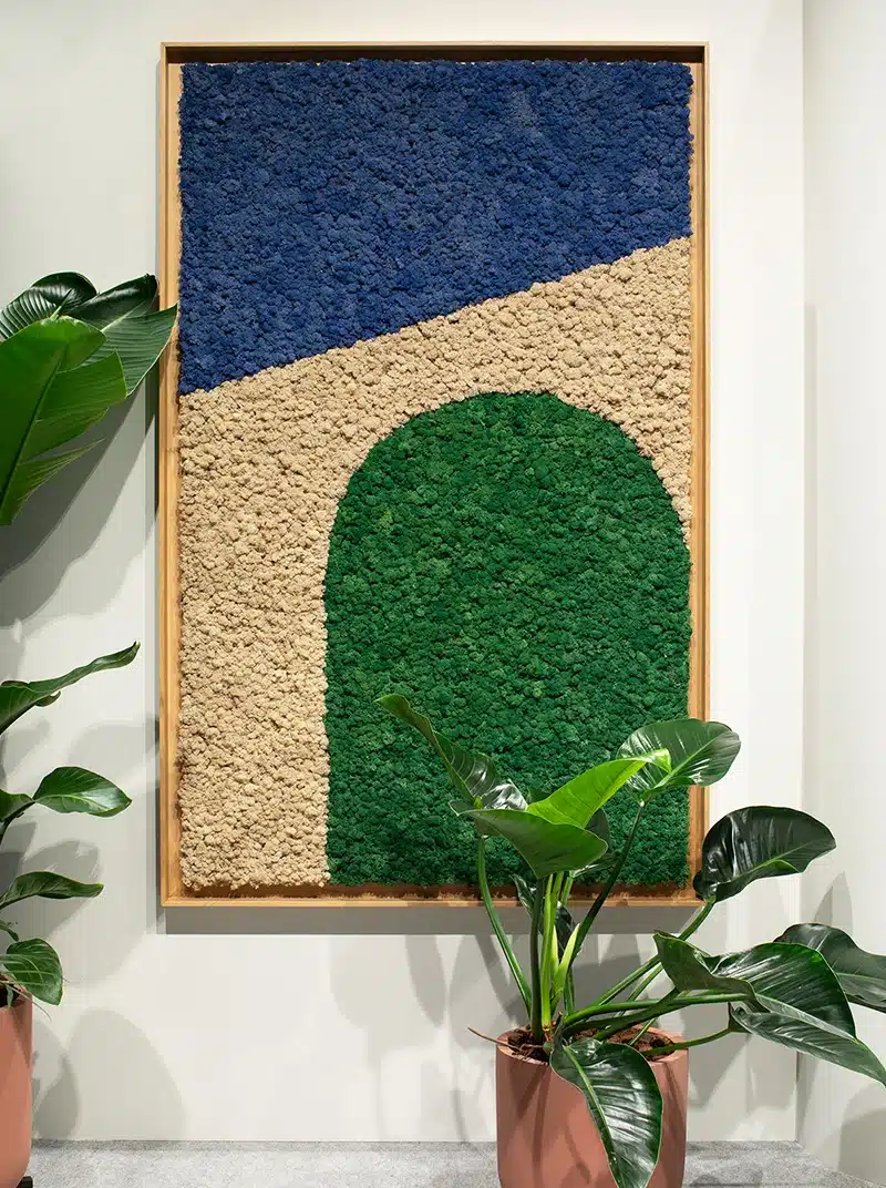 frame