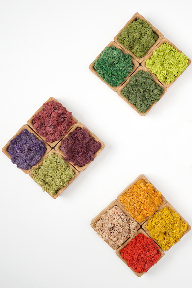 Multiple beautiful colour options