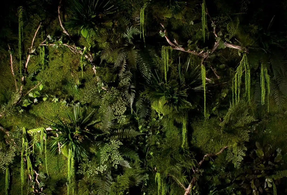 Greenmood_forest-03