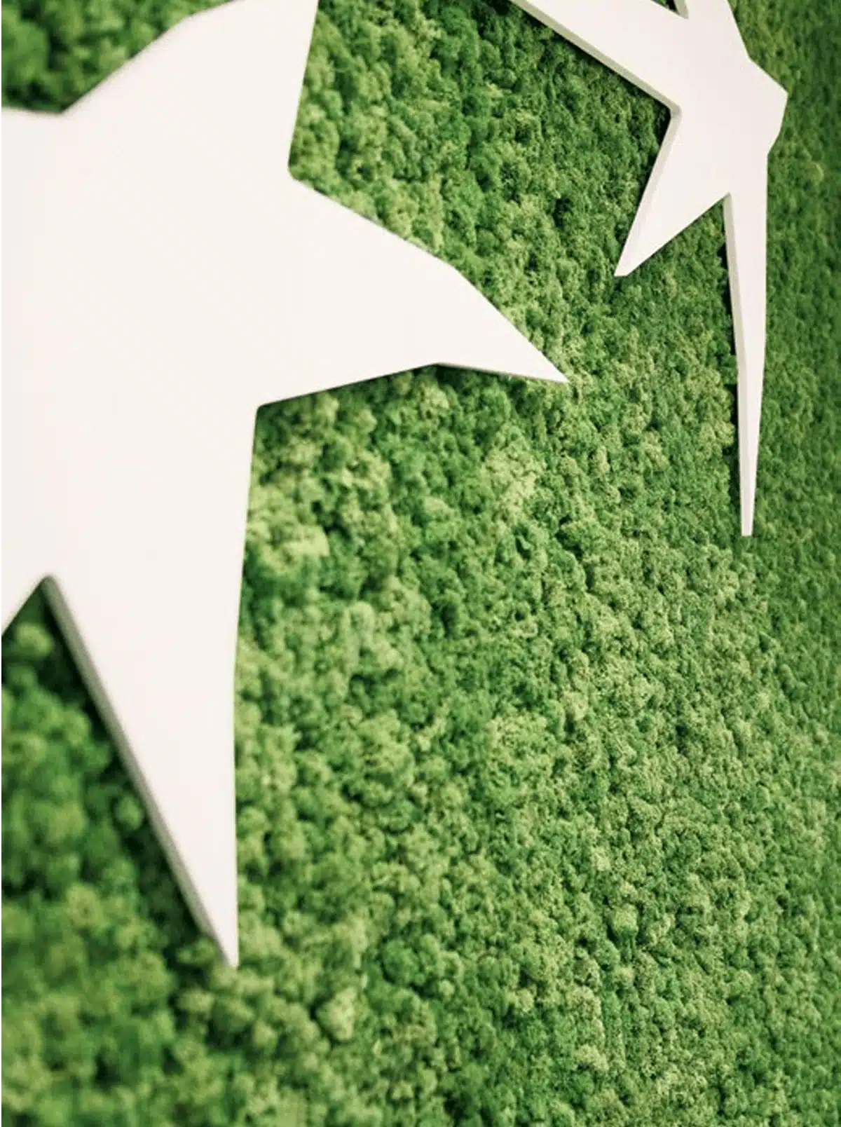 green wall