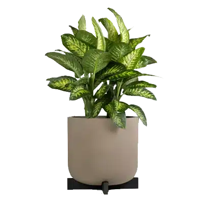 form planter