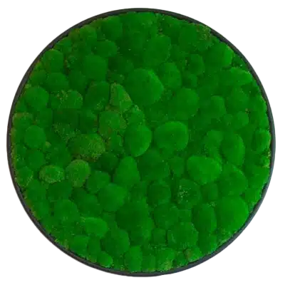 g circle