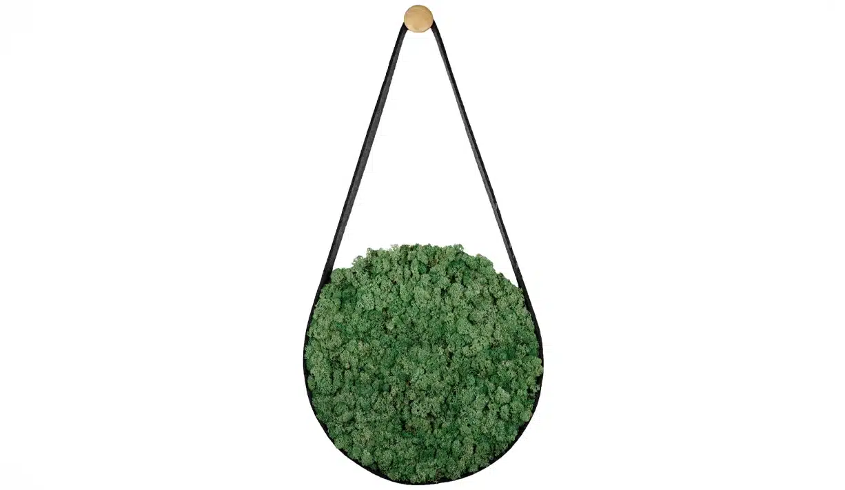 Greenmood_Belt_03