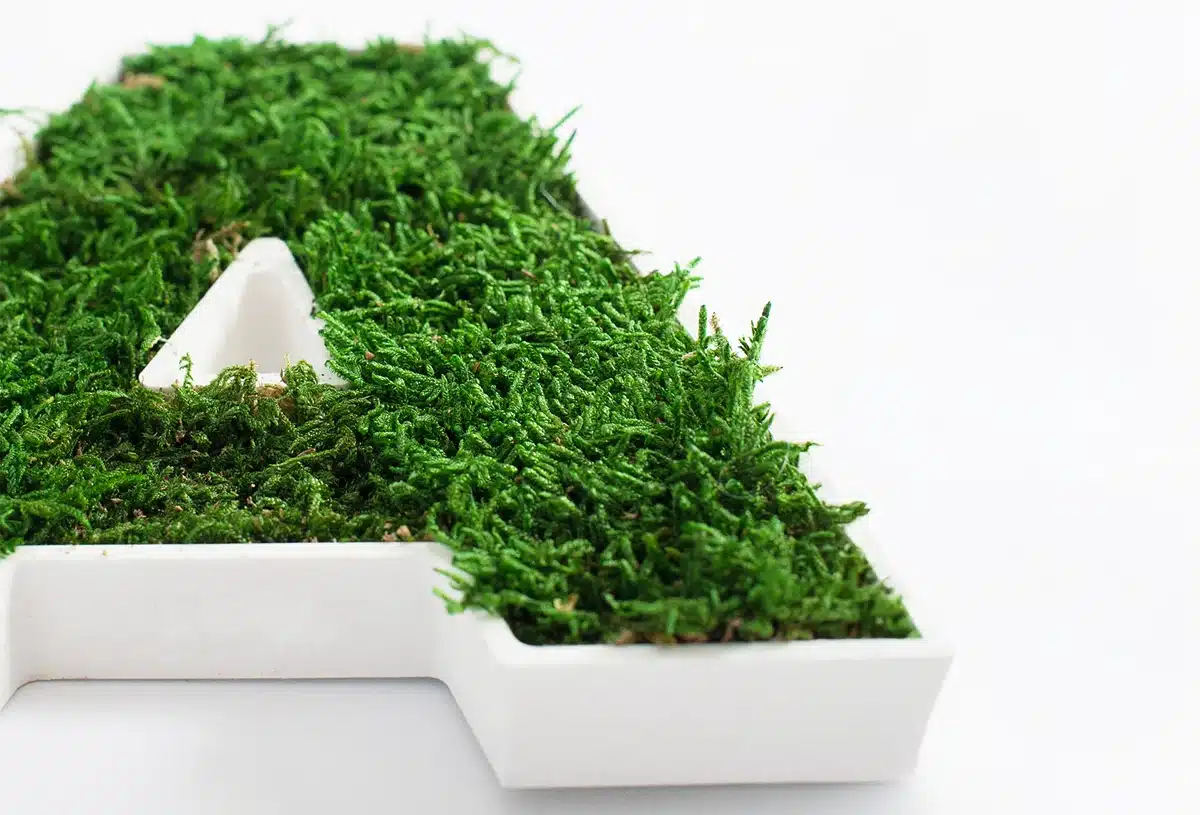 Greenmood_Custom-Logo_product_05