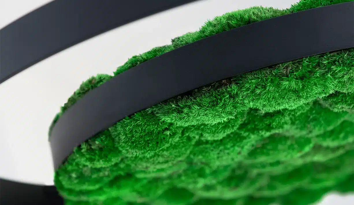 Greenmood_Tail_01