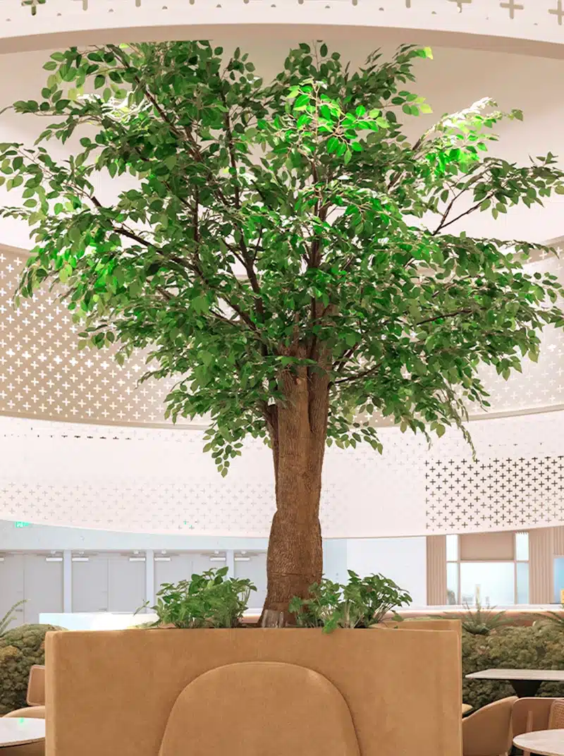 tree