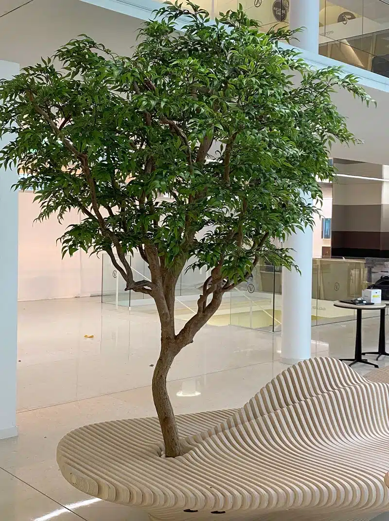 tree