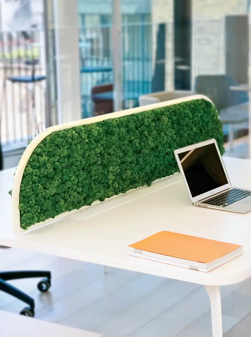 G-Desk