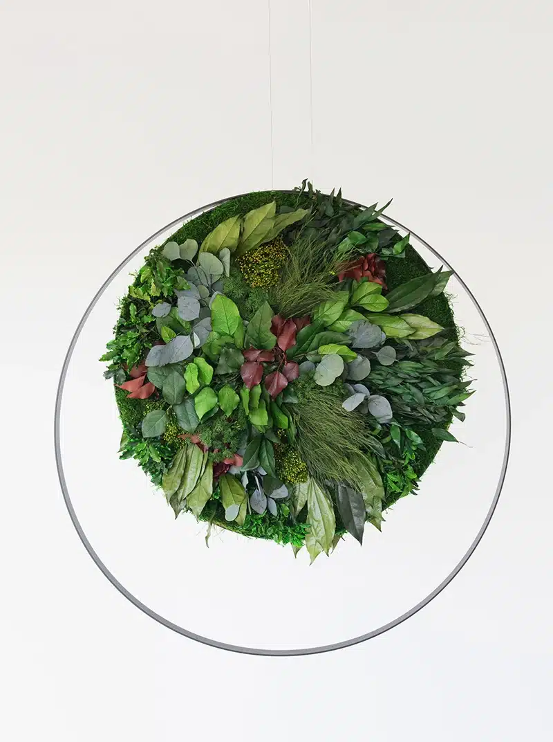Ring forest