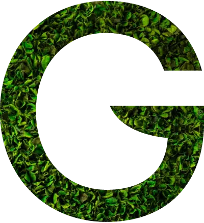 Logo 4
