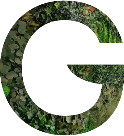 Logo 5
