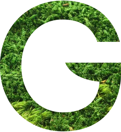 Logo 9