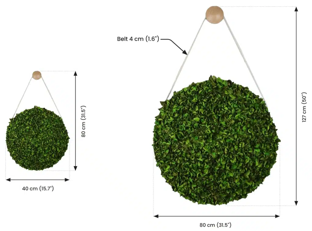 greenmood belt dimensions