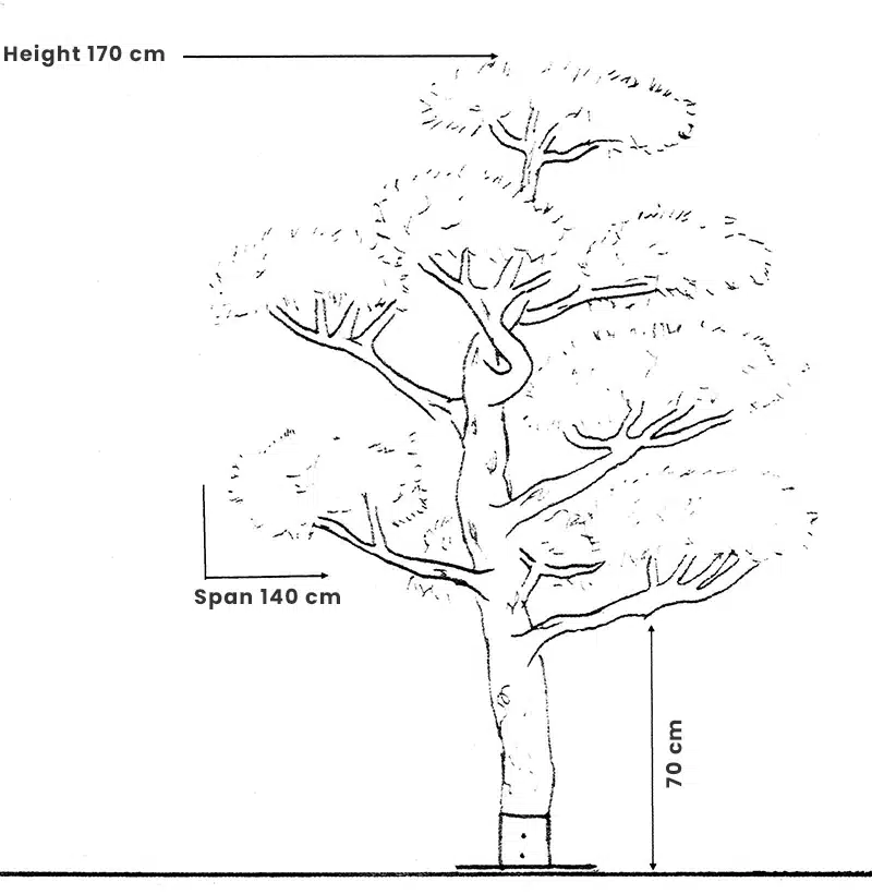 tree 001