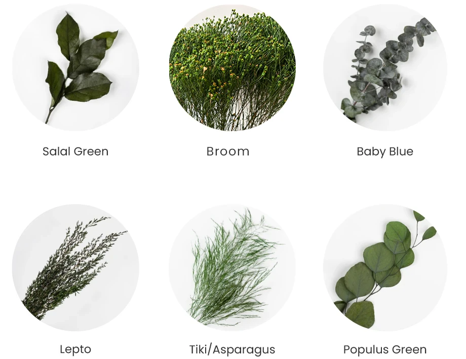 greenmood green hues selection 01