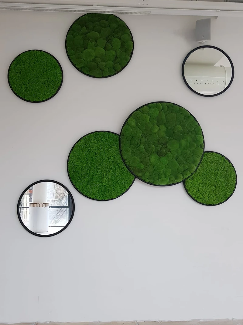 greenmood g circles gallery 18
