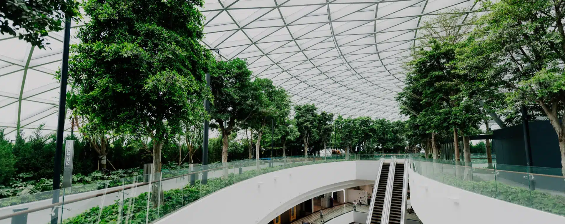 Biophilic architecture