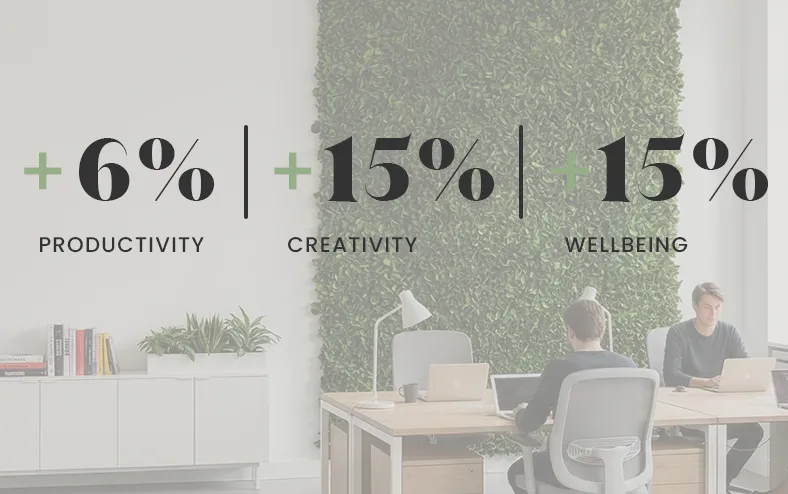 biophilic design workplace wellbeing 01