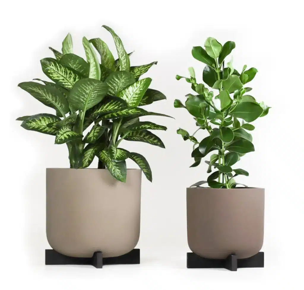 greenmood cruz planters 01a