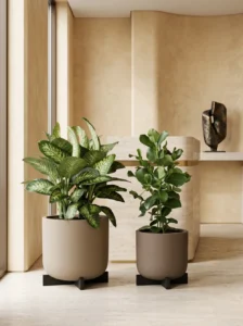 greenmood gallery cruz planters 01