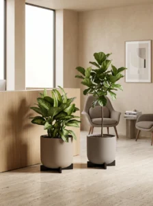 greenmood gallery cruz planters 02