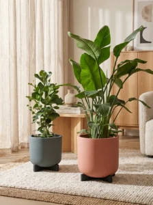 greenmood gallery cruz planters 04