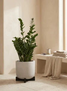 greenmood gallery cruz planters 09